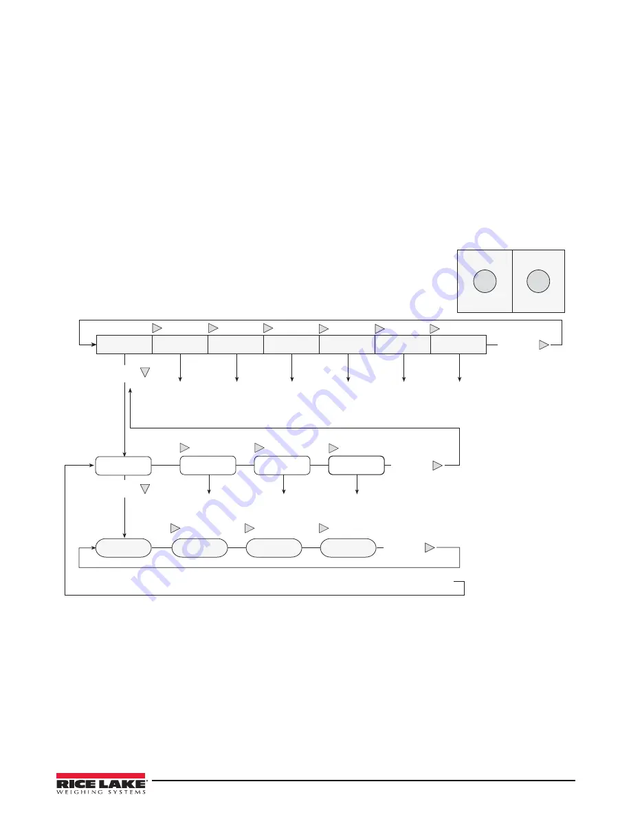 Rice Lake IQ plus 2100 Installation Manual Download Page 24