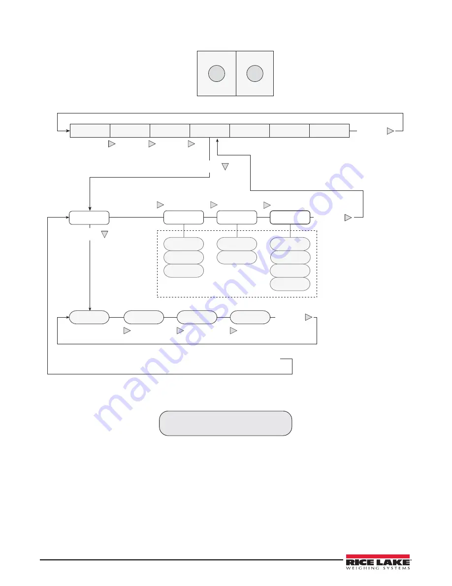 Rice Lake IQ plus 2100 Installation Manual Download Page 25