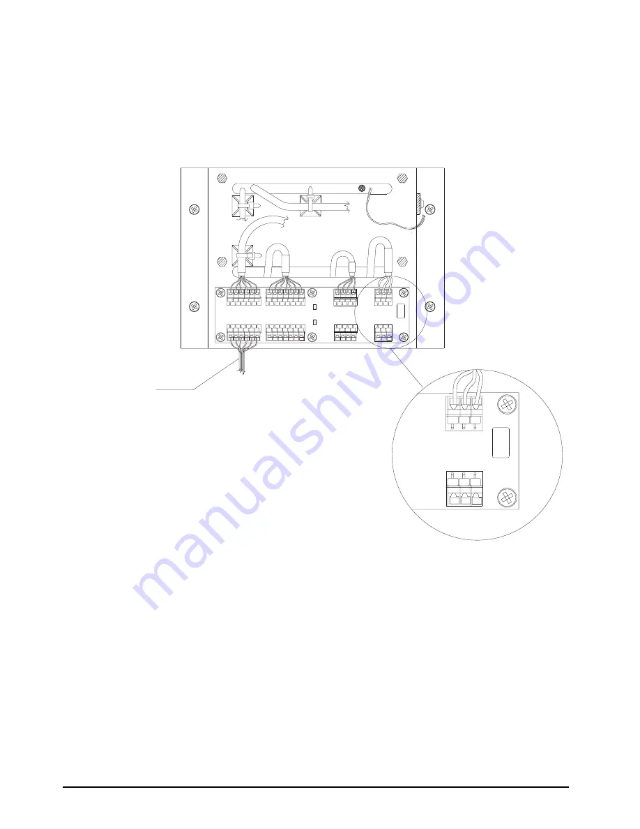 Rice Lake IQ plus 310A Скачать руководство пользователя страница 13