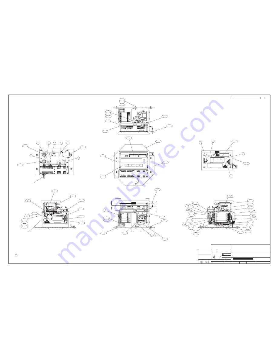 Rice Lake IQ plus 310A Скачать руководство пользователя страница 19