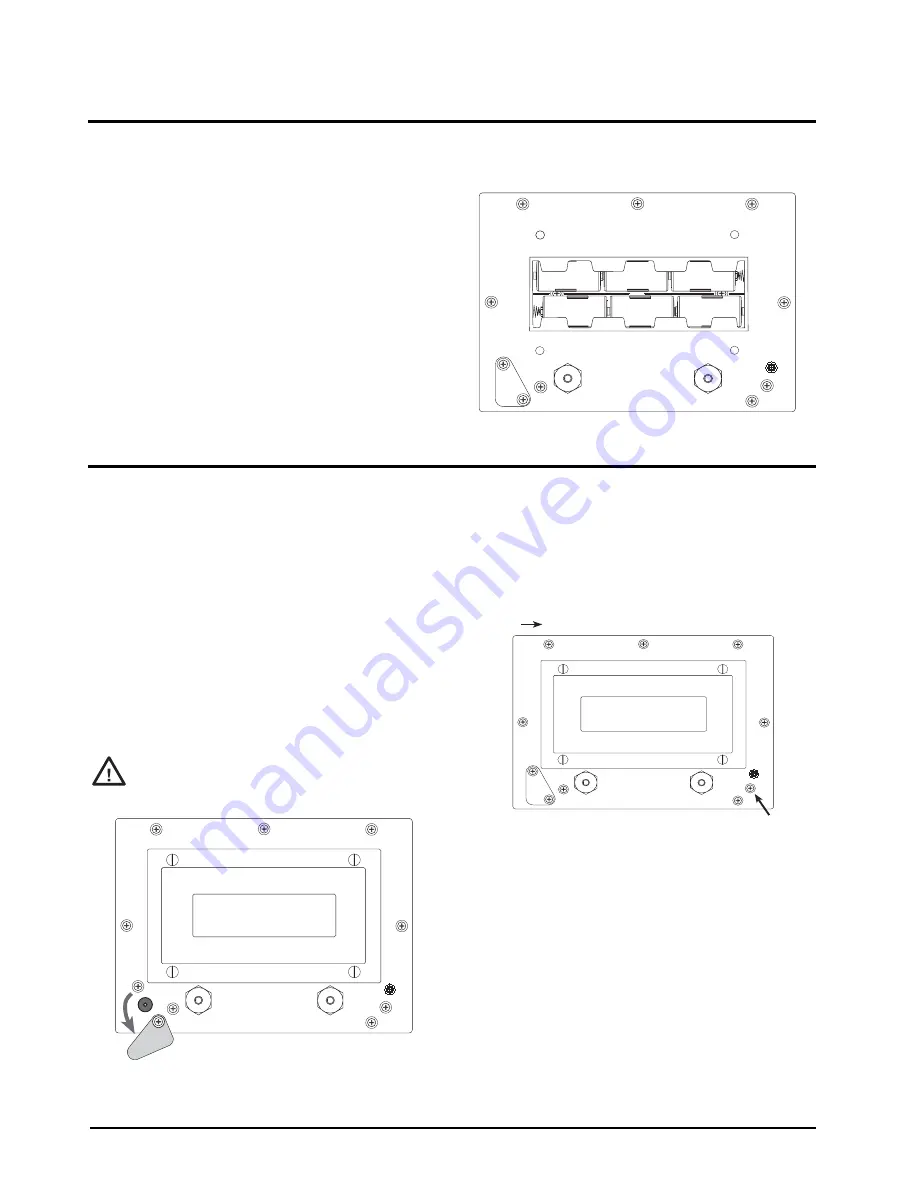 Rice Lake IQ plus 590-DC Скачать руководство пользователя страница 4