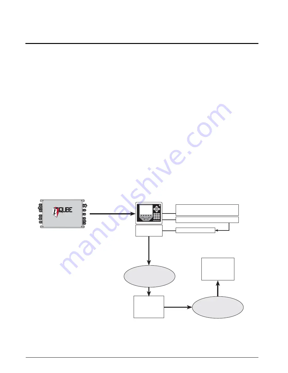 Rice Lake iQube 920i Скачать руководство пользователя страница 41