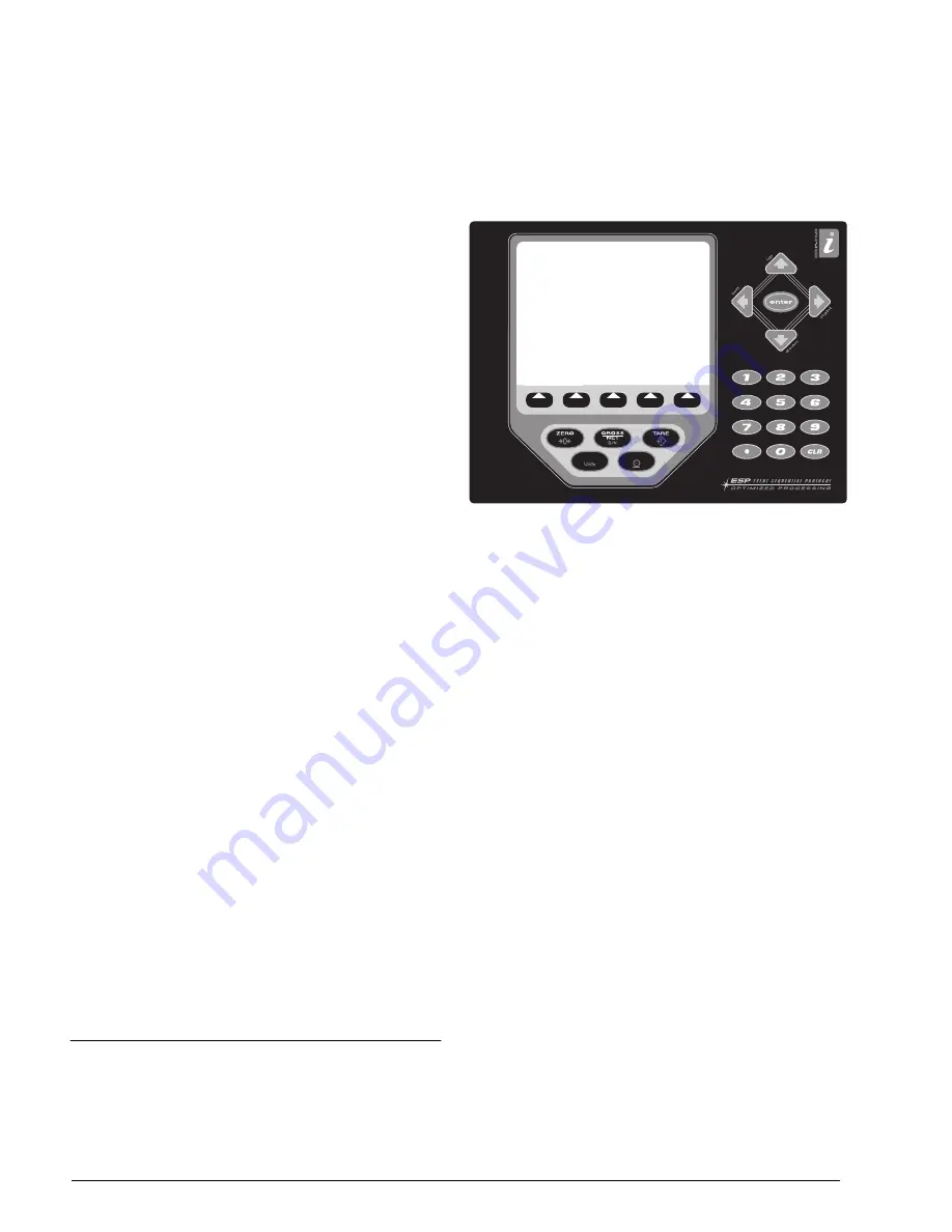 Rice Lake iRev 920i Installation Manual Download Page 6