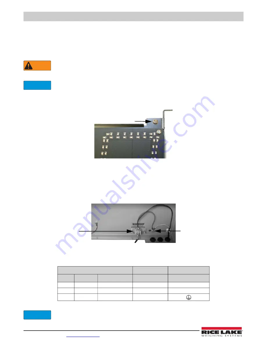 Rice Lake LaserLight Series Скачать руководство пользователя страница 10