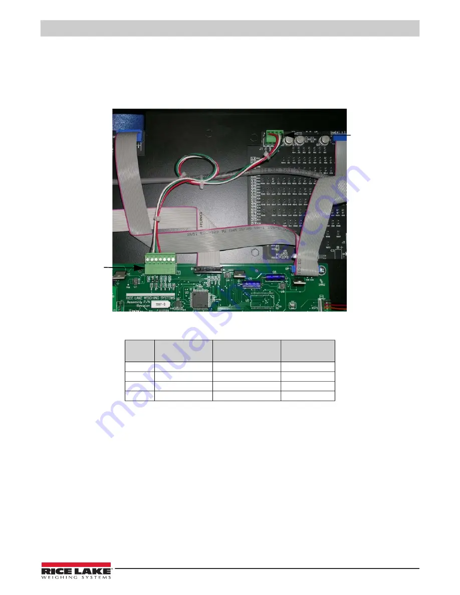 Rice Lake LaserLight Series Installation Manual Download Page 31