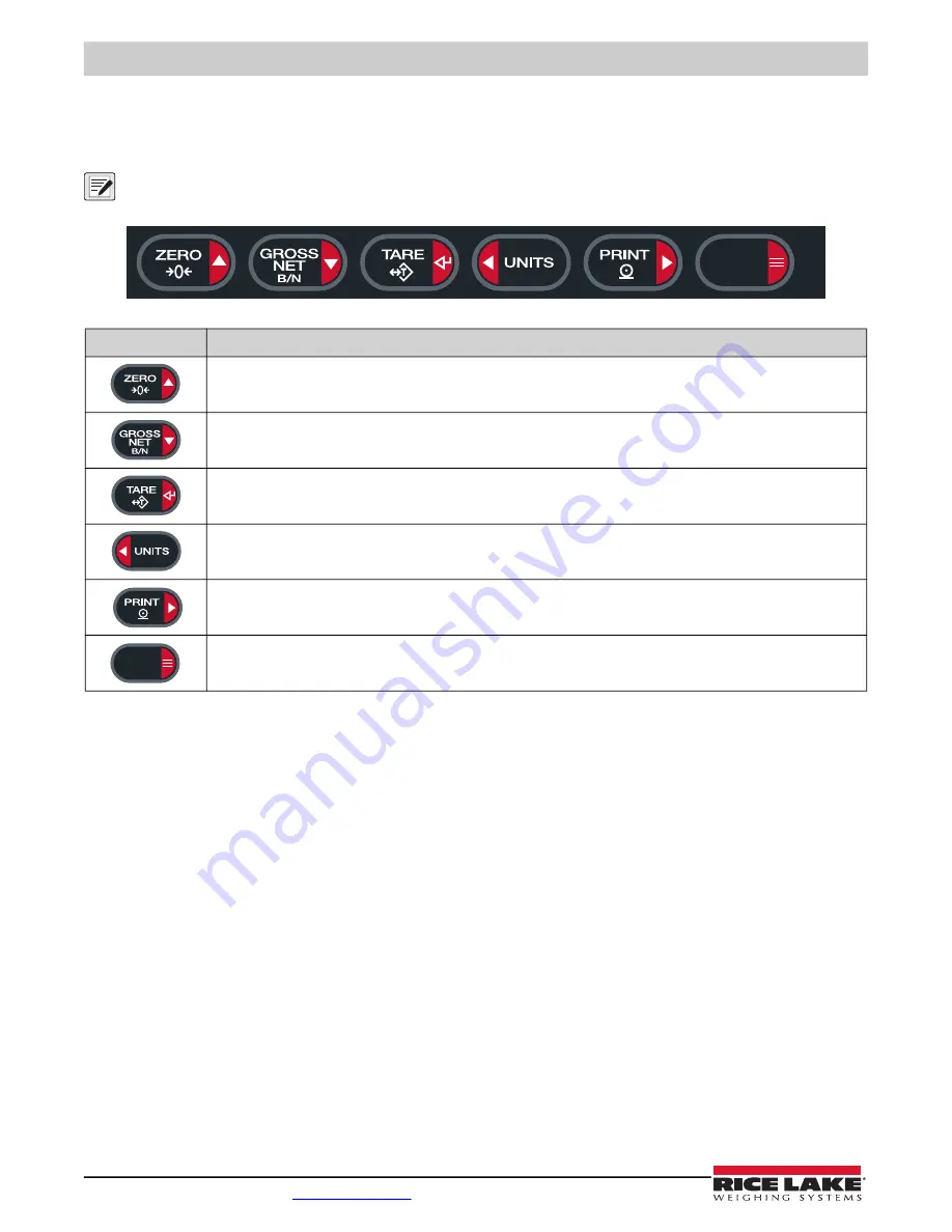 Rice Lake LaserLight3 Скачать руководство пользователя страница 2