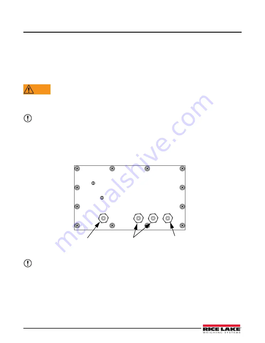 Rice Lake Legend 480-2A Technical Manual Download Page 17