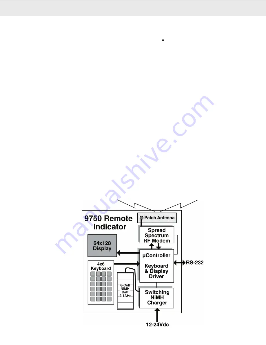 Rice Lake Measurement Systems International MSI9750A Operator'S Manual Download Page 8