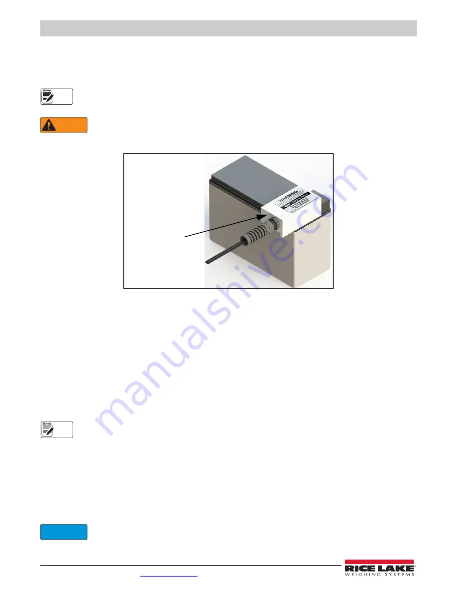 Rice Lake MSI-4260 IS Скачать руководство пользователя страница 10