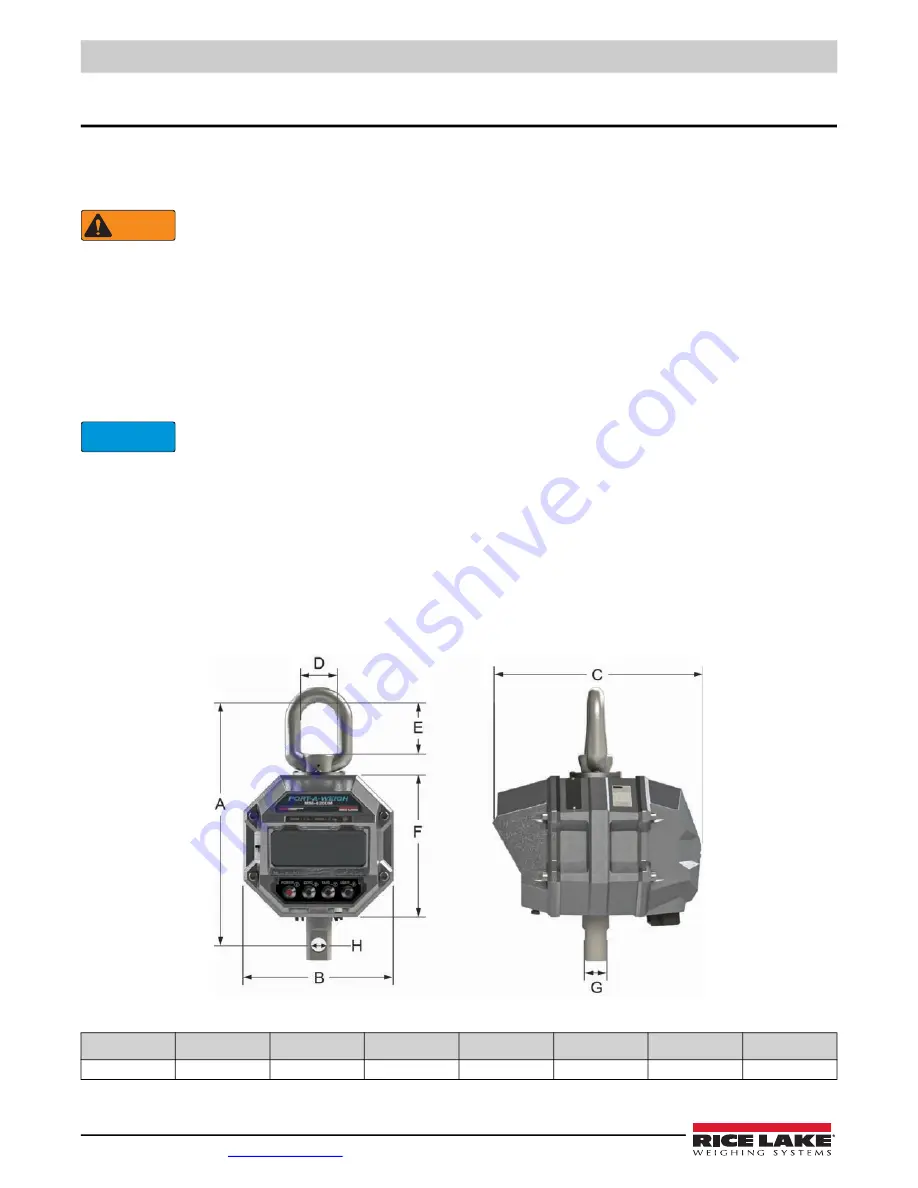 Rice Lake MSI-4260M Скачать руководство пользователя страница 6