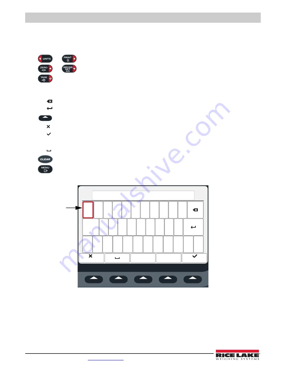 Rice Lake REVOLUTION 682 Synergy Plus Technical Manual Download Page 28