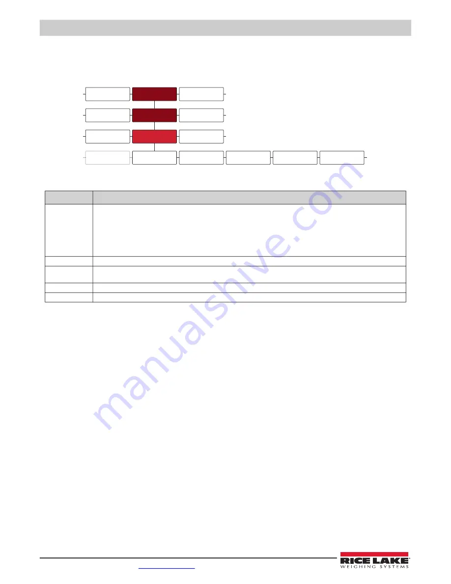 Rice Lake REVOLUTION 682 Synergy Plus Technical Manual Download Page 46