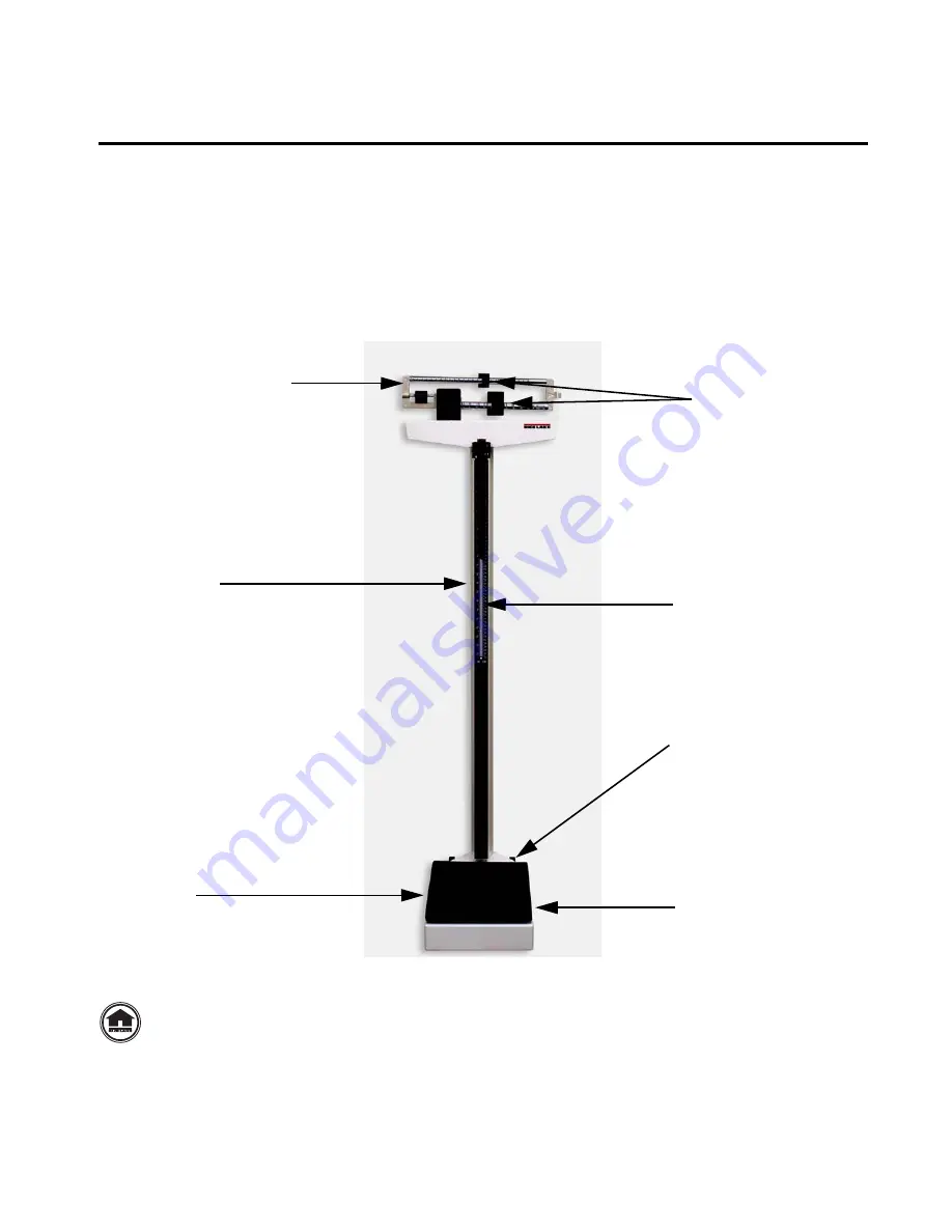 Rice Lake RL-MPS Operation Instructions Manual Download Page 5