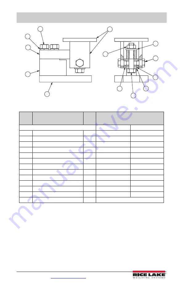 Rice Lake RL1800 Series Скачать руководство пользователя страница 14