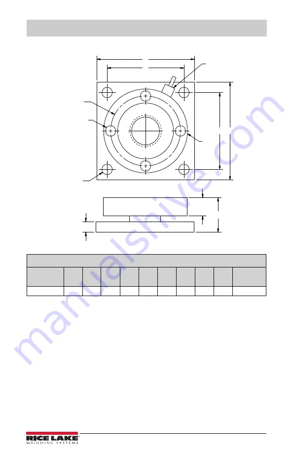 Rice Lake RL9000 Series Installation Manual Download Page 13