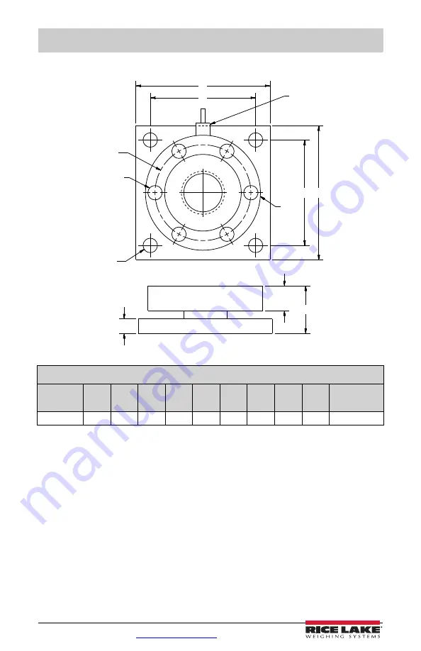 Rice Lake RL9000 Series Скачать руководство пользователя страница 14