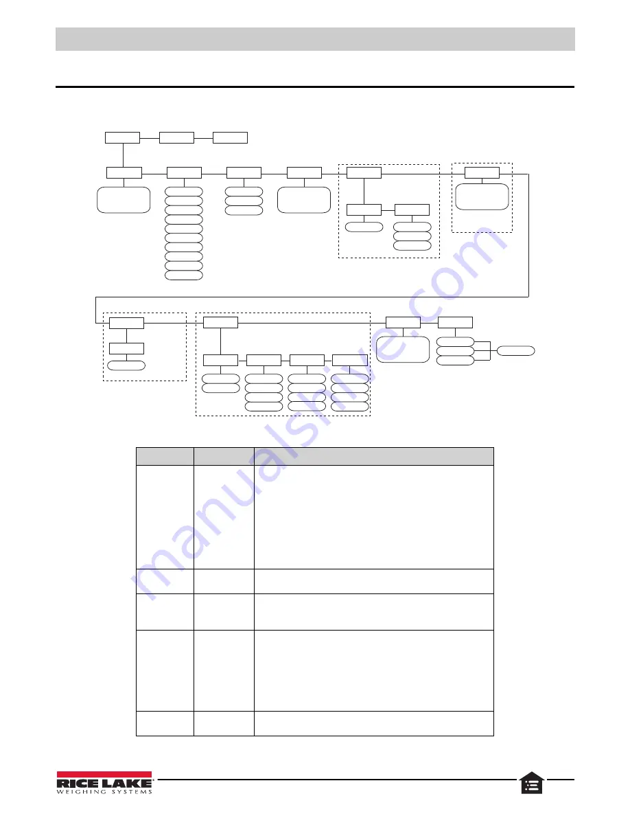 Rice Lake SCT20-AN Скачать руководство пользователя страница 13