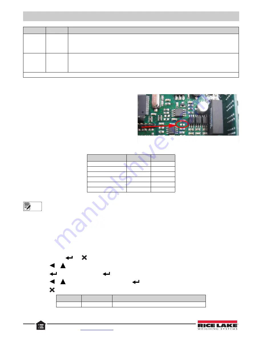 Rice Lake SCT20-AN Technical Manual Download Page 24