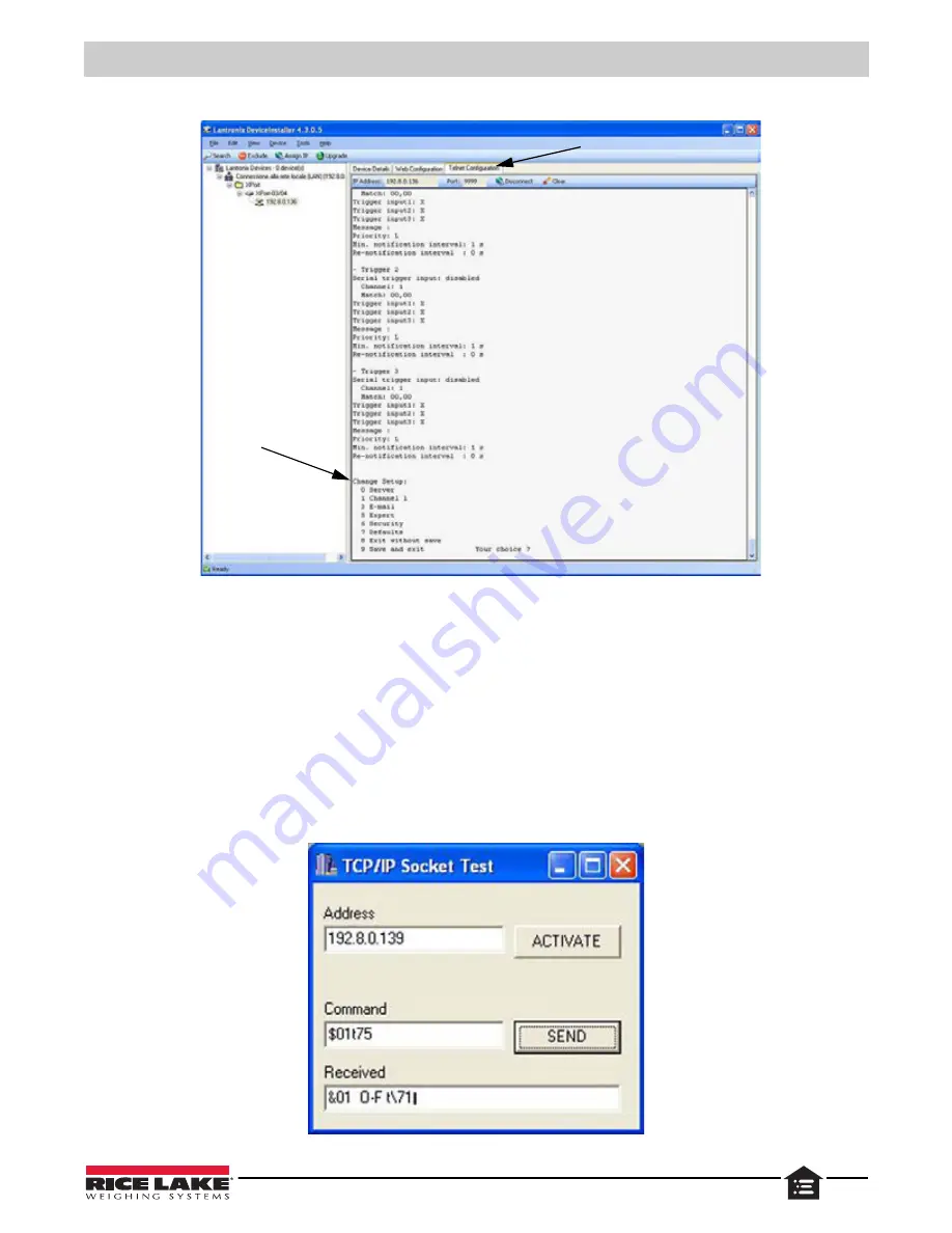 Rice Lake SCT20-AN Technical Manual Download Page 45