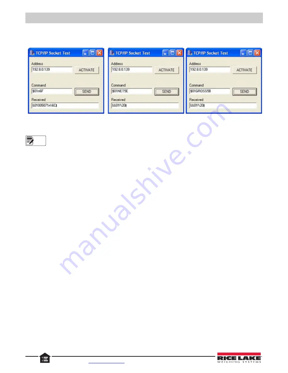 Rice Lake SCT20-AN Technical Manual Download Page 46