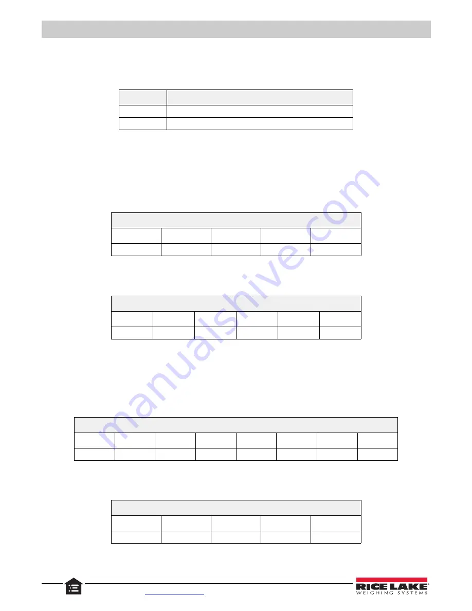 Rice Lake SCT20-AN Technical Manual Download Page 48