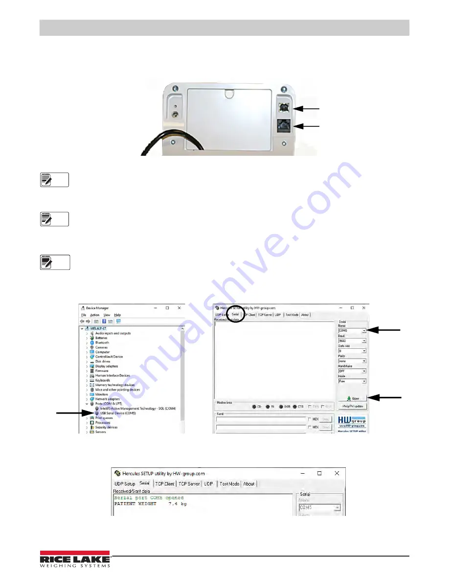 Rice Lake Summit SD-1150-WP Скачать руководство пользователя страница 17