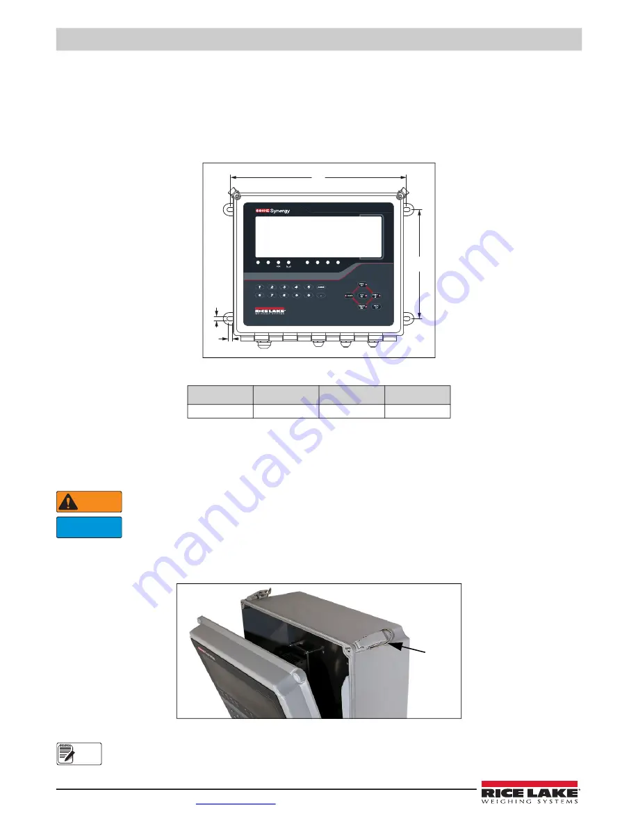 Rice Lake Synergy 680HE Скачать руководство пользователя страница 10