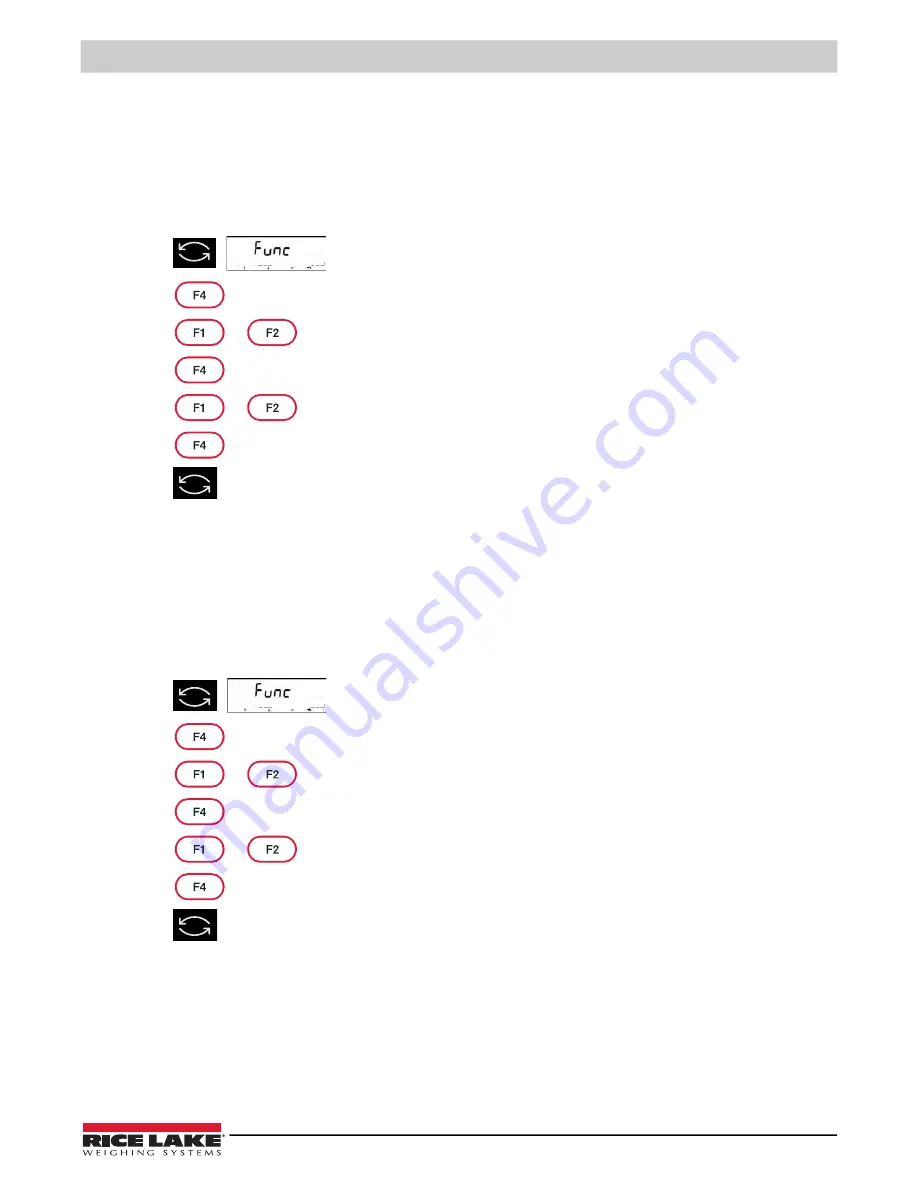 Rice Lake TA Plus 124 Скачать руководство пользователя страница 27