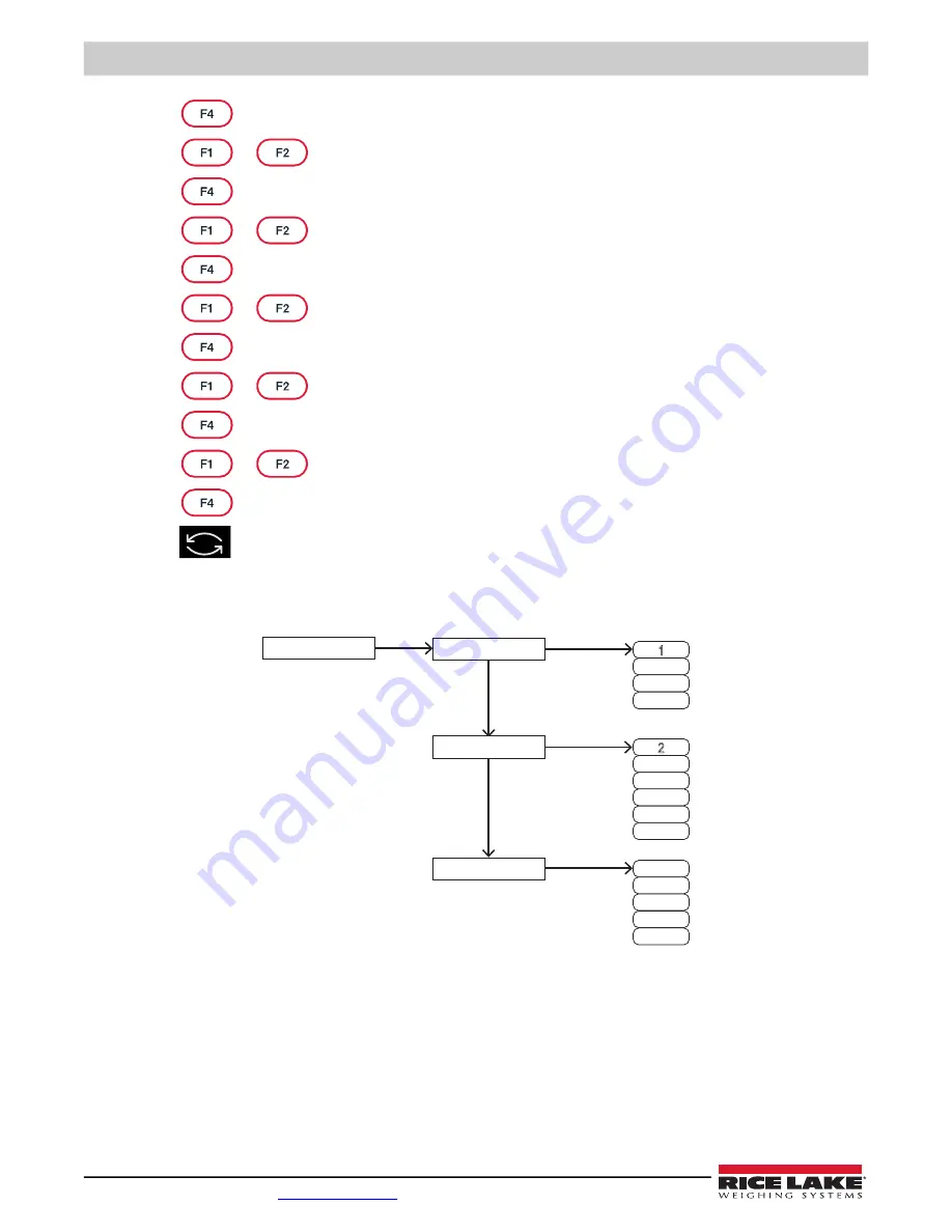 Rice Lake TA Plus 124 Скачать руководство пользователя страница 40