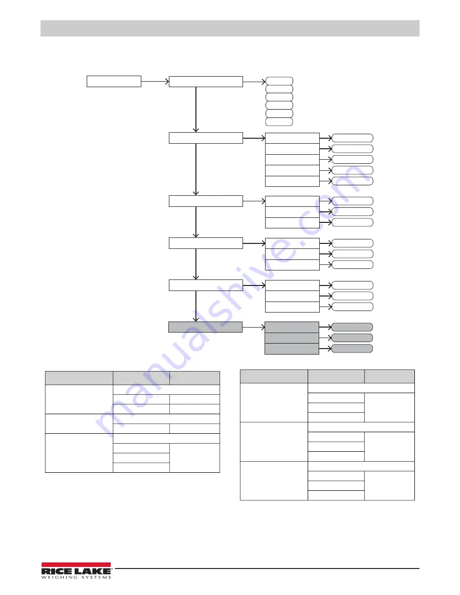 Rice Lake TA Plus 124 Operation Manual Download Page 43