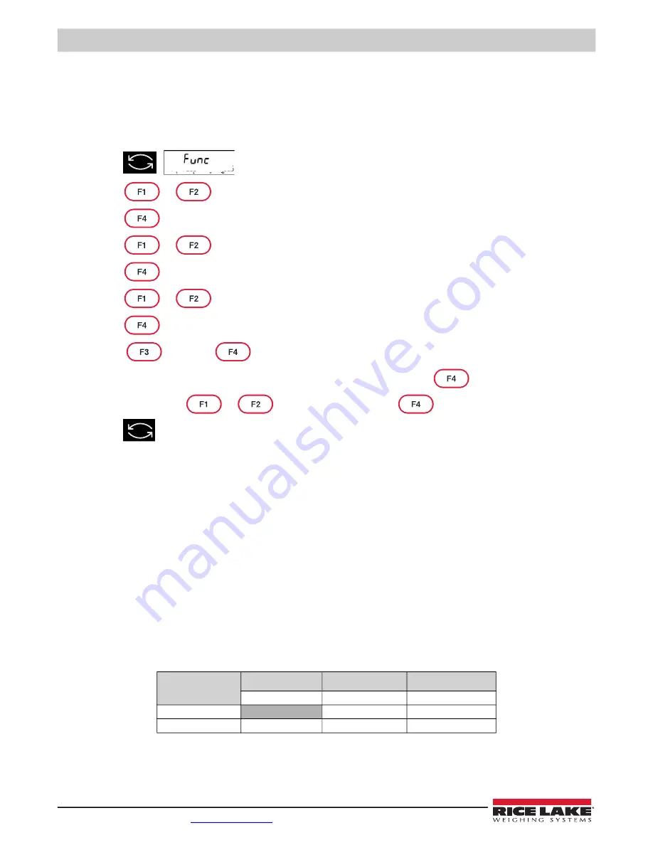 Rice Lake TA Plus 124 Скачать руководство пользователя страница 44