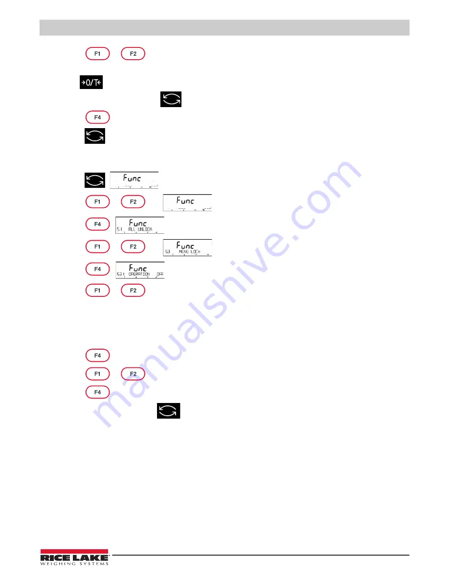 Rice Lake TA Plus 124 Скачать руководство пользователя страница 49