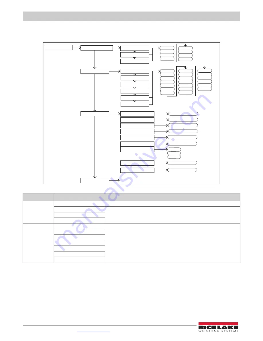 Rice Lake TA Plus 124 Скачать руководство пользователя страница 50