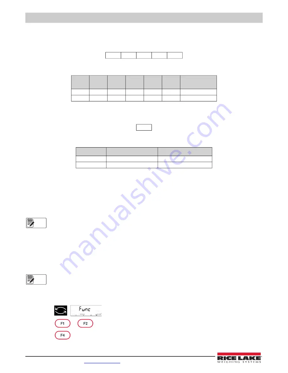 Rice Lake TA Plus 124 Operation Manual Download Page 68