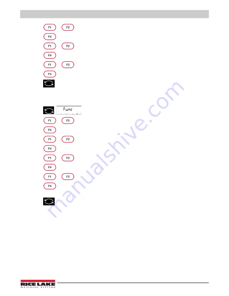 Rice Lake TA Plus 124 Скачать руководство пользователя страница 69