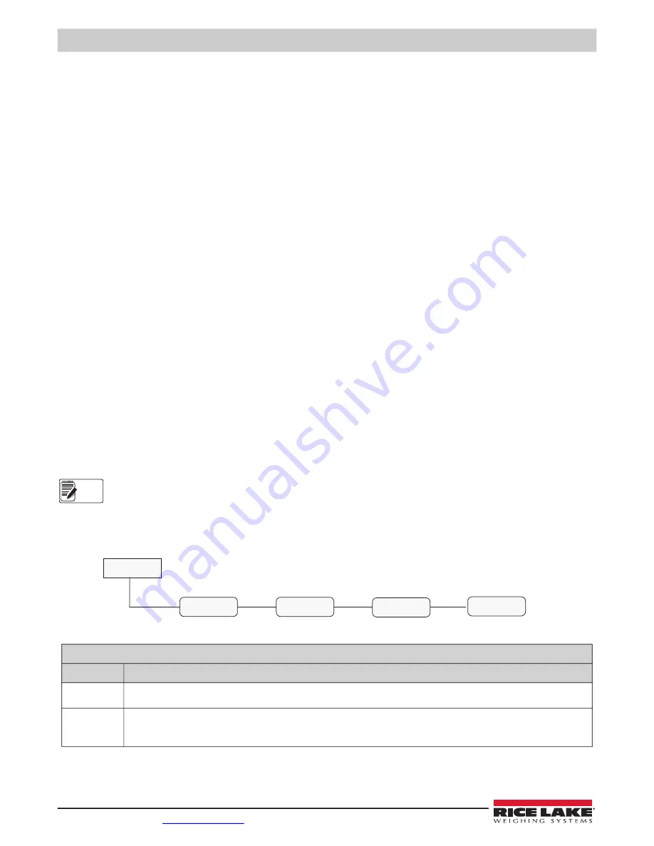 Rice Lake Tracer AV Installation Manual Download Page 42