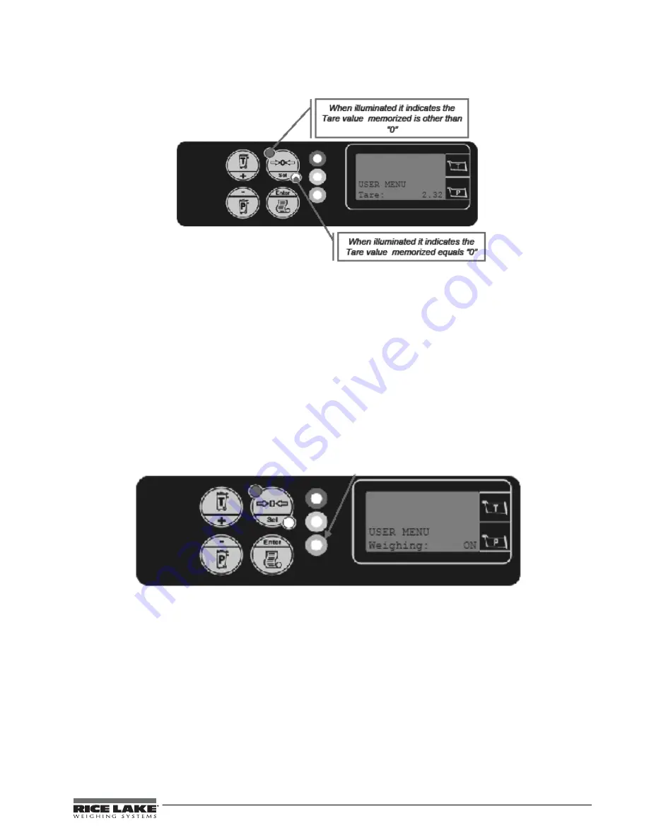 Rice Lake WLS-C Installation & User Manual Download Page 29