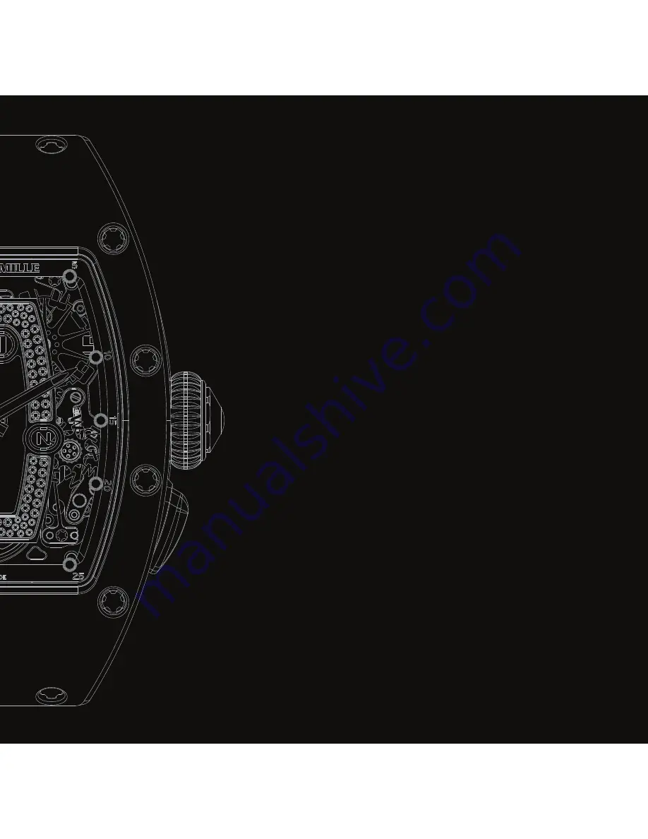 Richard Mille RM 037 Ladies User Manual Download Page 1