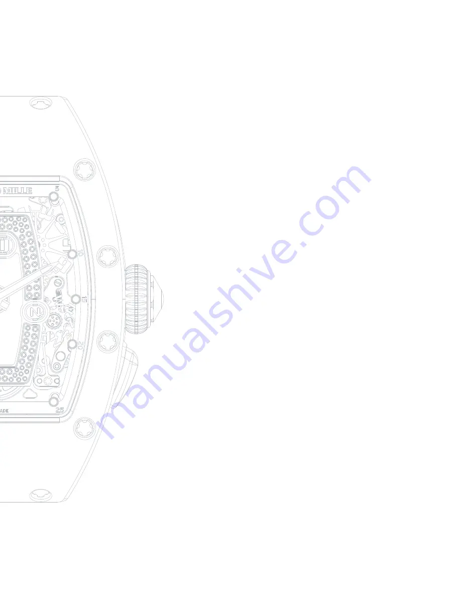 Richard Mille RM 037 Ladies User Manual Download Page 2