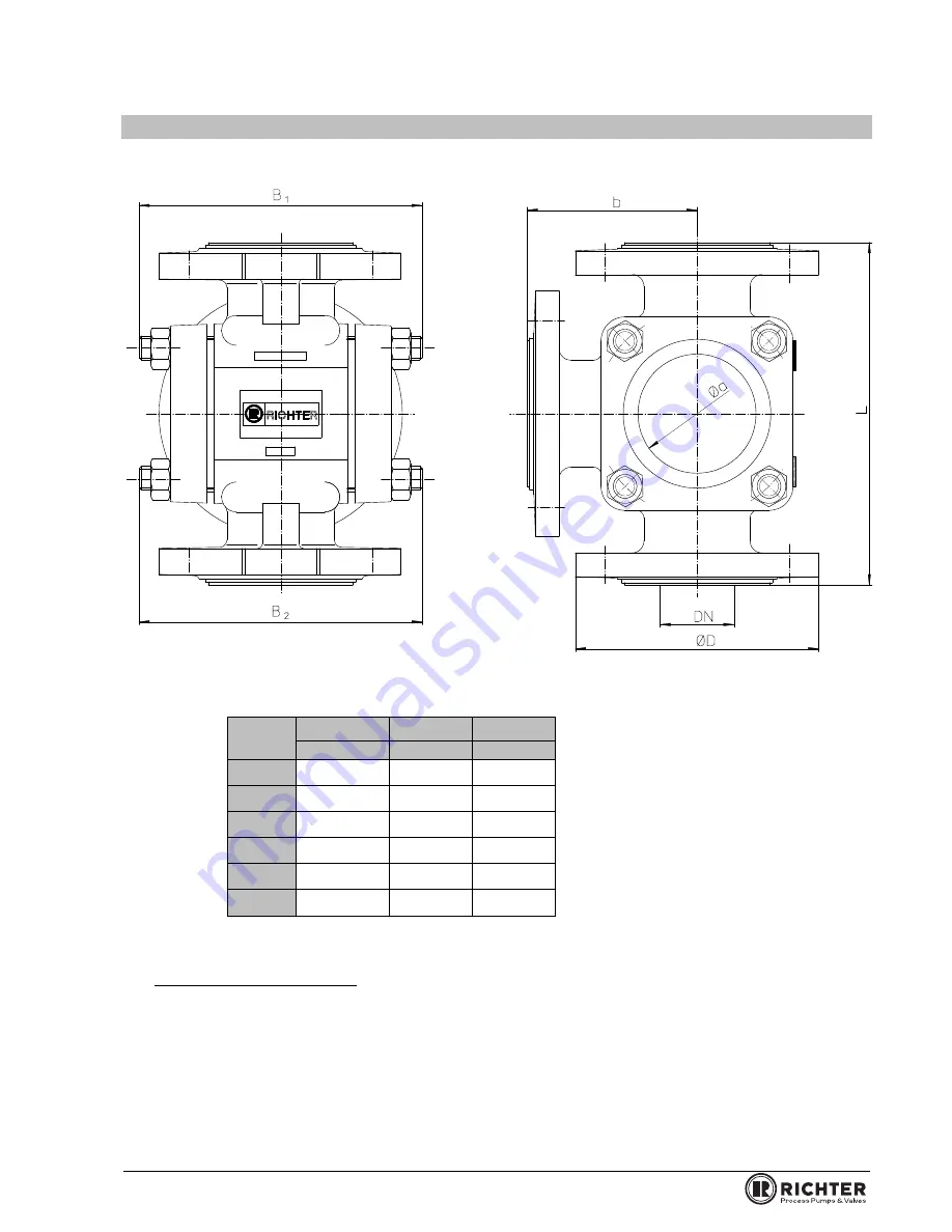 Richter PSG/F series Operating Manual Download Page 13