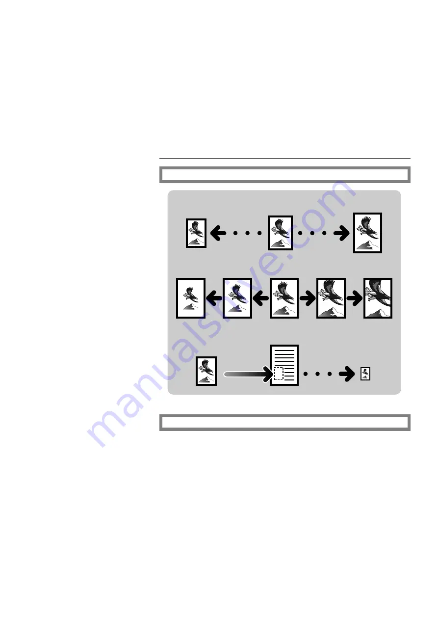 Ricoh A161 Operating Instructions Manual Download Page 21