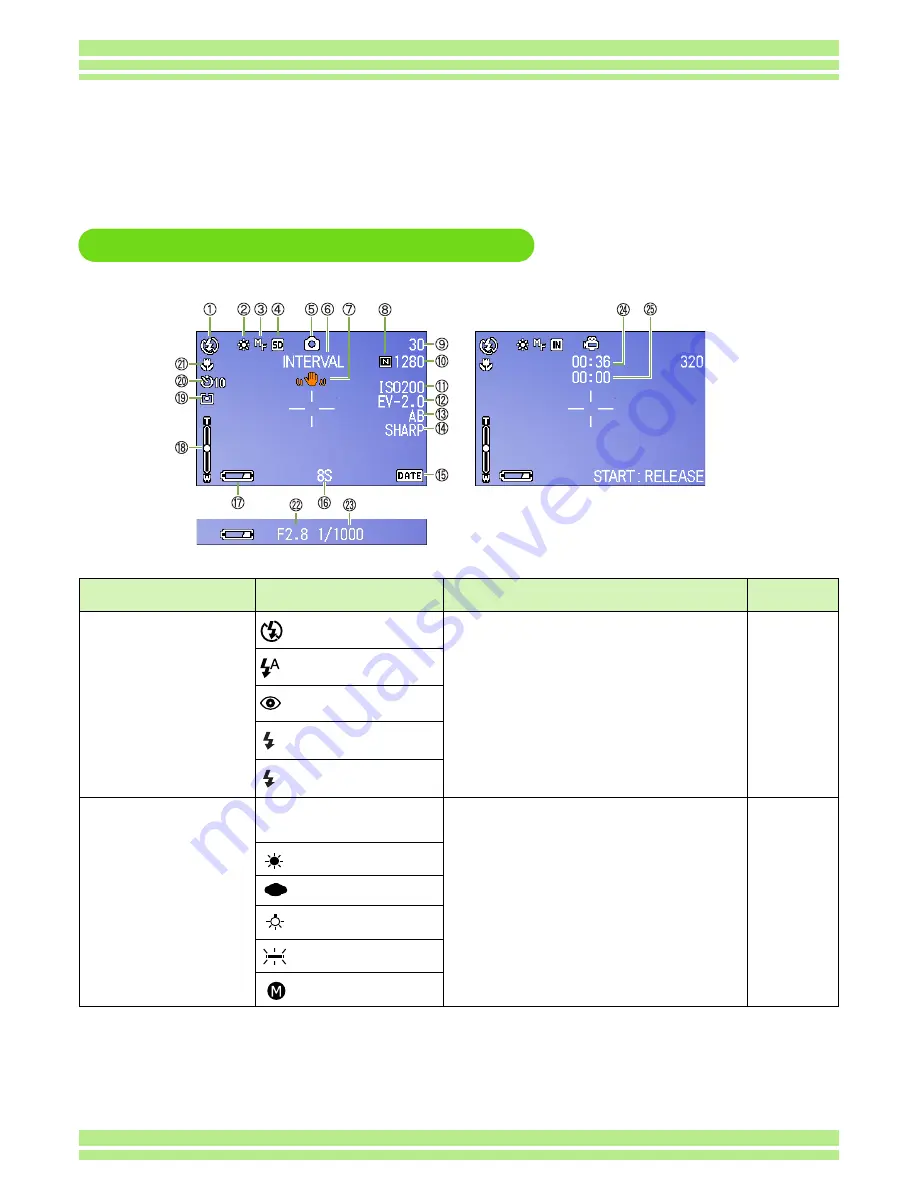 Ricoh Caplio 300G Operation Manual Download Page 17