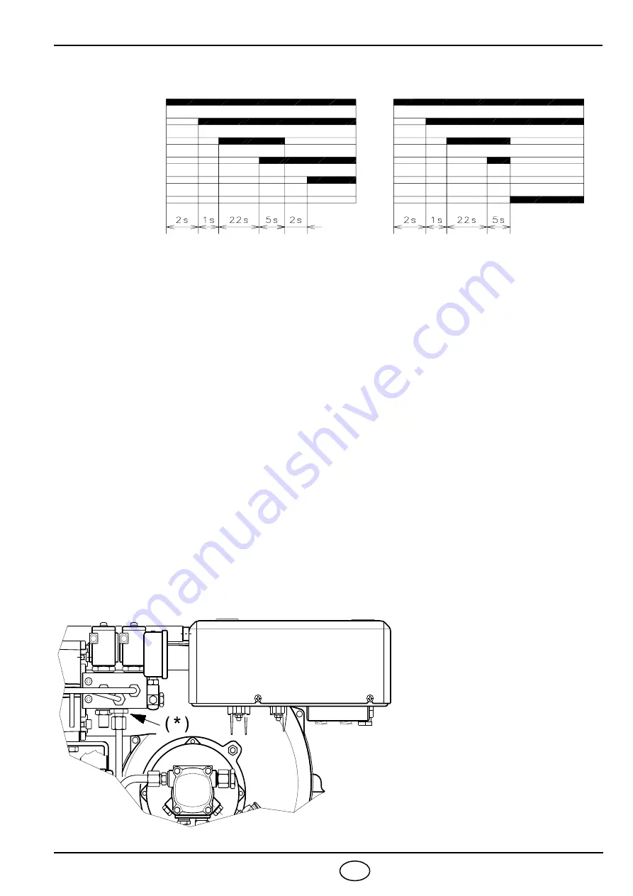 Riello Burners 3434623 Installation, Use And Maintenance Instructions Download Page 10