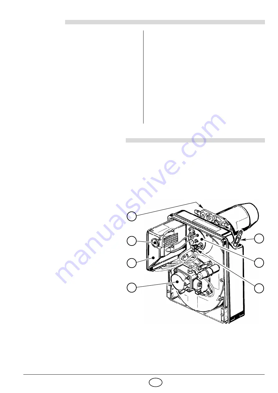 Riello Burners 3736420 Скачать руководство пользователя страница 21