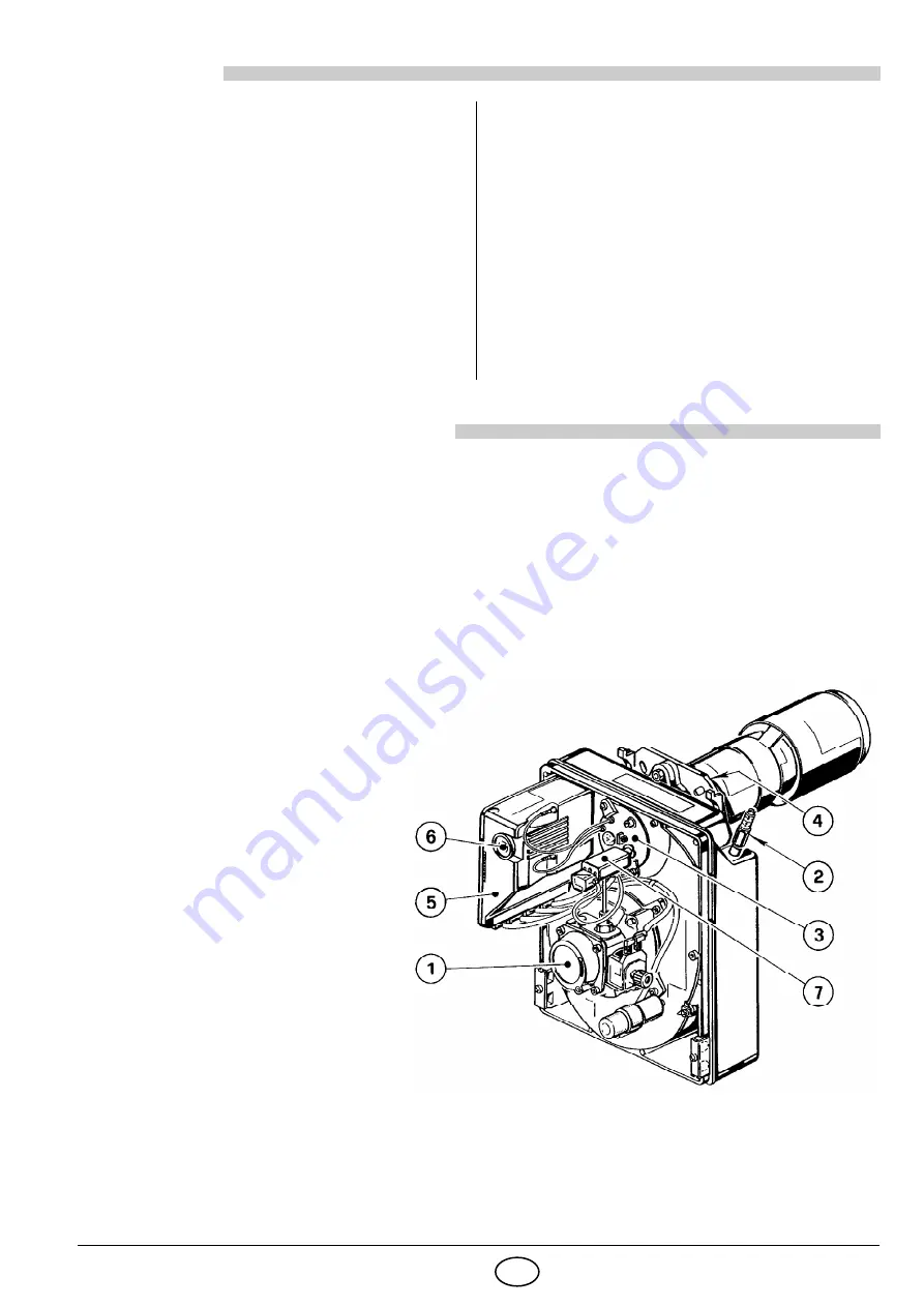 Riello Burners 3737050 Installation, Use And Maintenance Instructions Download Page 23