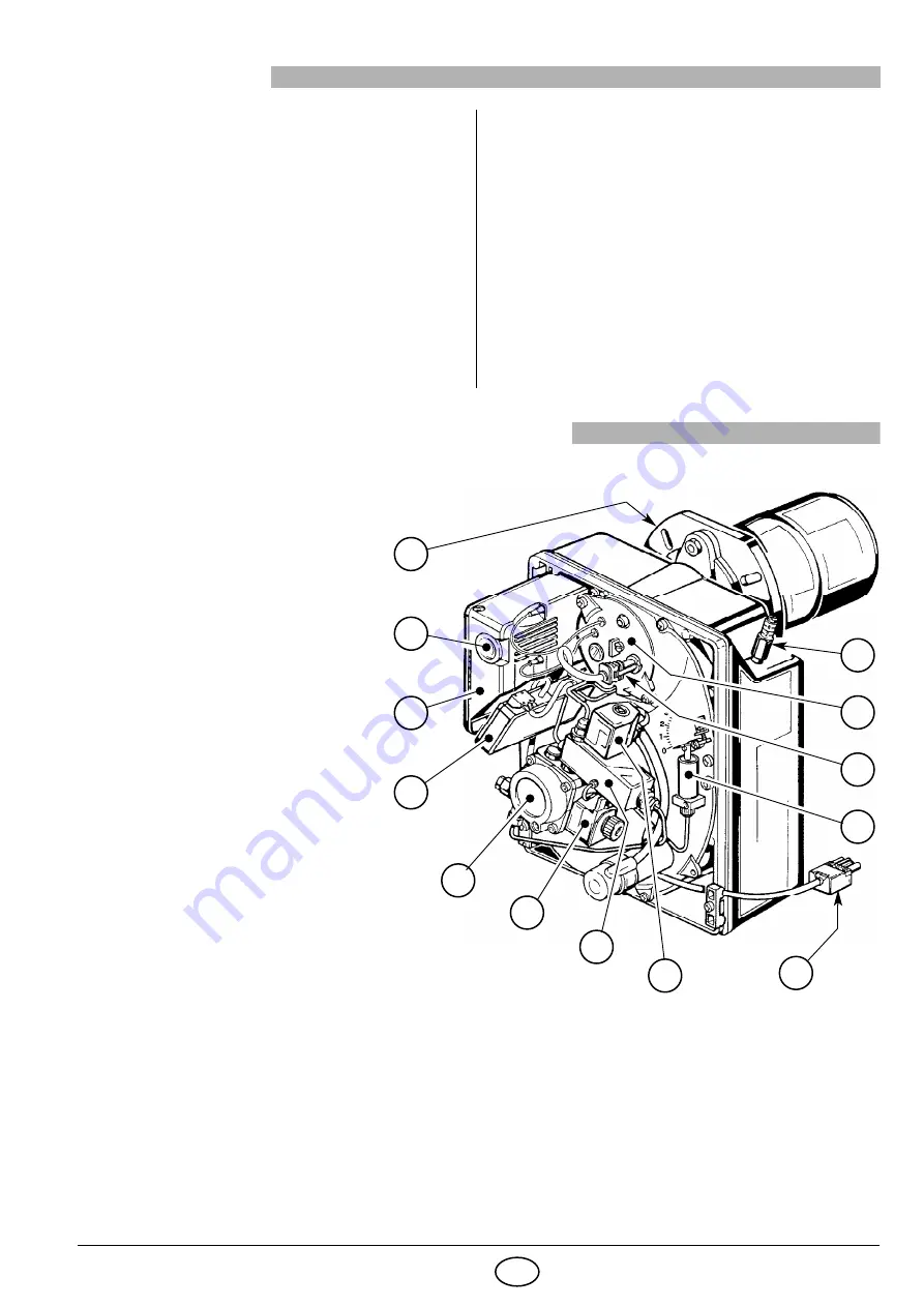 Riello Burners 3739850 Скачать руководство пользователя страница 13