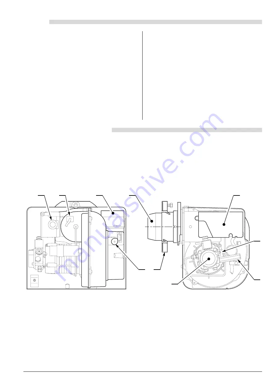 Riello Burners CAMRAY5 150 Скачать руководство пользователя страница 2