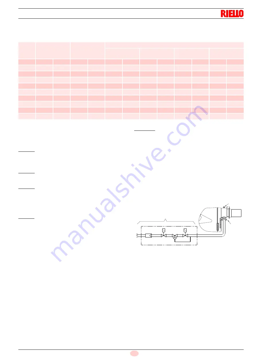 Riello 20038459 Скачать руководство пользователя страница 21