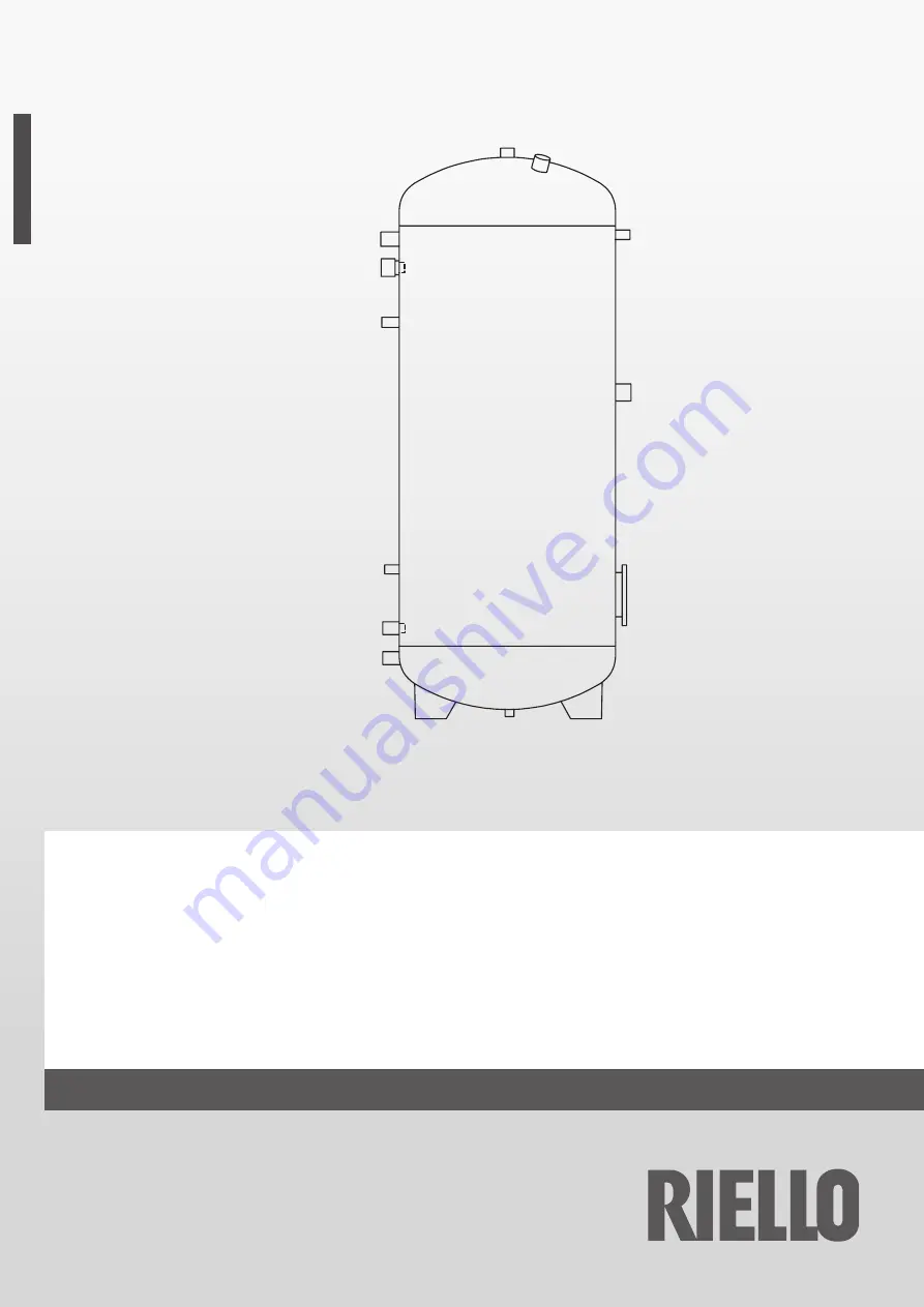 Riello 20136293 Скачать руководство пользователя страница 1