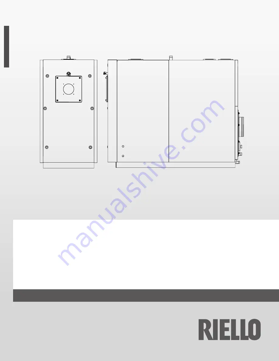 Riello 20165080 Скачать руководство пользователя страница 1